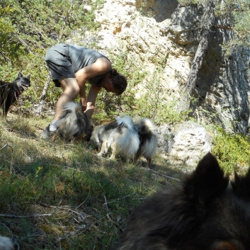 Picknick mit den Mittelspitzen von der Rosteige 2015 - 03