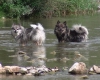 Schaltflaeche Urlaub Frankreich 2015 Teil 5