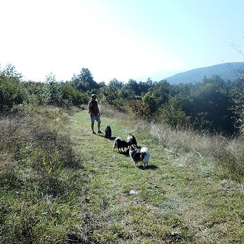 Spaziergang nahe Plitvicer Seen - 02