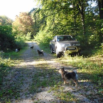 Spaziergang nahe Plitvicer Seen - 05 Abends