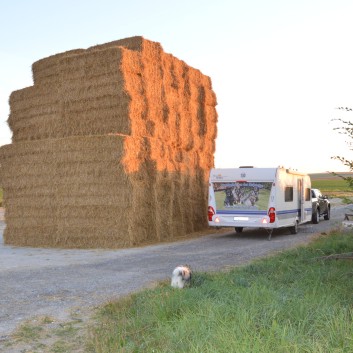 Start der Tour de France mit dem Gespann 11