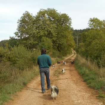 Tour von Les Vignes nach Massegros 06