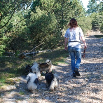 Urlaub am Vejers Strand in Dnemark mit den Mittelspitzen von der Rosteige 01