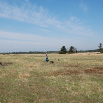 Urlaub am Vejers Strand in Dnemark mit den Mittelspitzen von der Rosteige 14