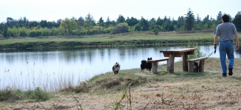 Urlaub am Vejers Strand in Dnemark mit den Mittelspitzen von der Rosteige 17