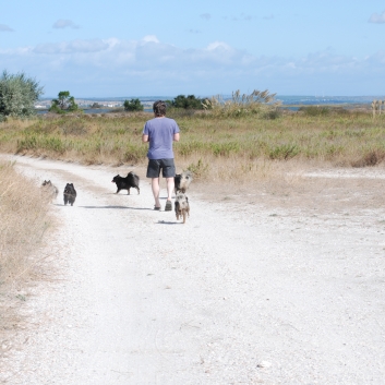 Urlaub mit Spitzen im September 2010 - 15