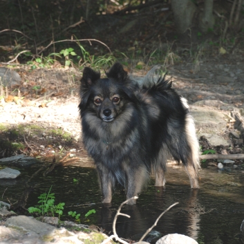 Urlaub mit Spitzen im September 2010 - 38