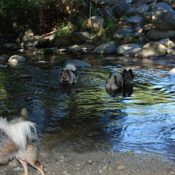 Urlaub mit Spitzen im September 2010 - 75