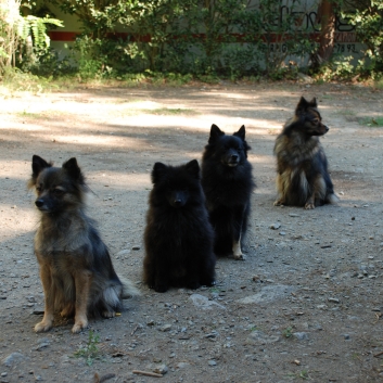 Urlaub mit Spitzen in den Pyrenen im September 2010 - 01