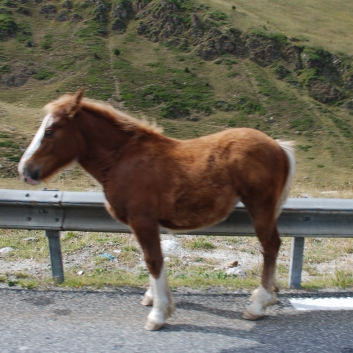 Urlaub mit Spitzen in den Pyrenen im September 2010 - 10