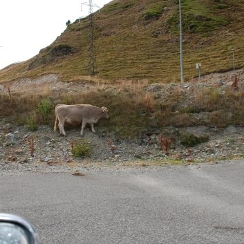 Urlaub mit Spitzen in den Pyrenen im September 2010 - 15