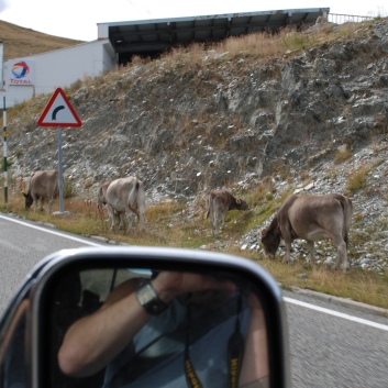 Urlaub mit Spitzen in den Pyrenen im September 2010 - 17