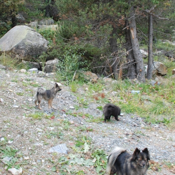 Urlaub mit Spitzen in den Pyrenen im September 2010 - 23