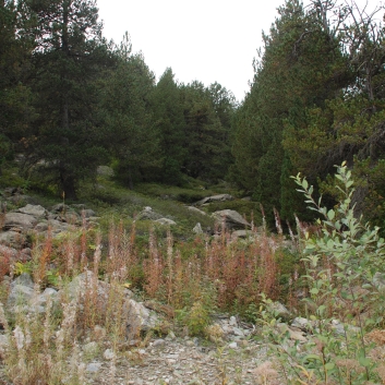 Urlaub mit Spitzen in den Pyrenen im September 2010 - 24