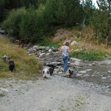 Urlaub mit Spitzen in den Pyrenen im September 2010 - 28