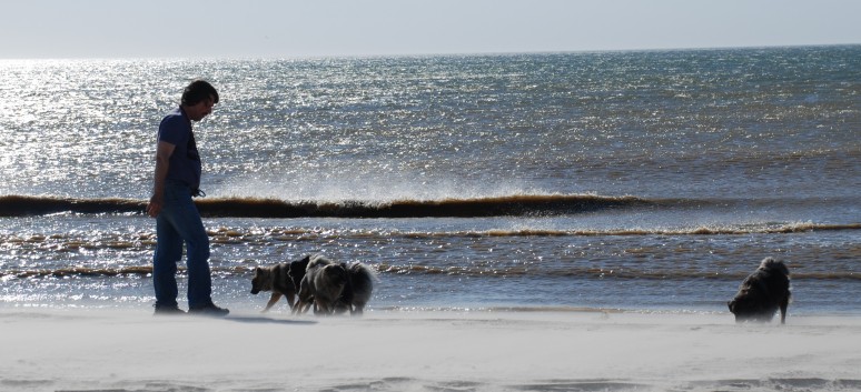 Vejers Strand in Dnemark mit den Mittelspitzen von der Rosteige 04