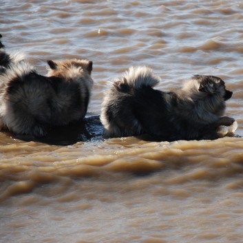 Vejers Strand in Dnemark mit den Mittelspitzen von der Rosteige 06