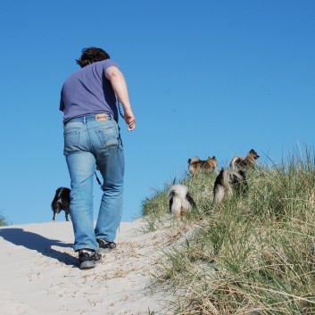 Vejers Strand in Dnemark mit den Mittelspitzen von der Rosteige 22