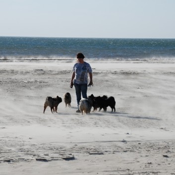 Vejers Strand in Dnemark mit den Mittelspitzen von der Rosteige 30